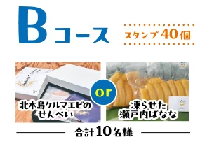Bコース 北木島クルマエビのせんべいまたは凍らせた瀬戸内はなな 合計10名様