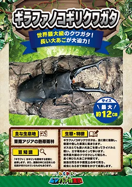 ギラファノコギリクワガタの昆虫紹介カード